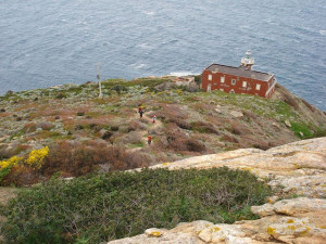 giglio