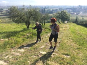 social trekking pistoia cammino colline