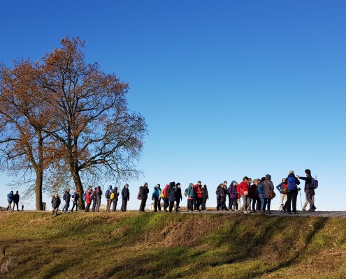 archivio social trekking pavia salerno