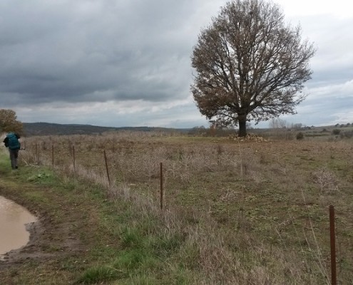 social-trekking-pavia